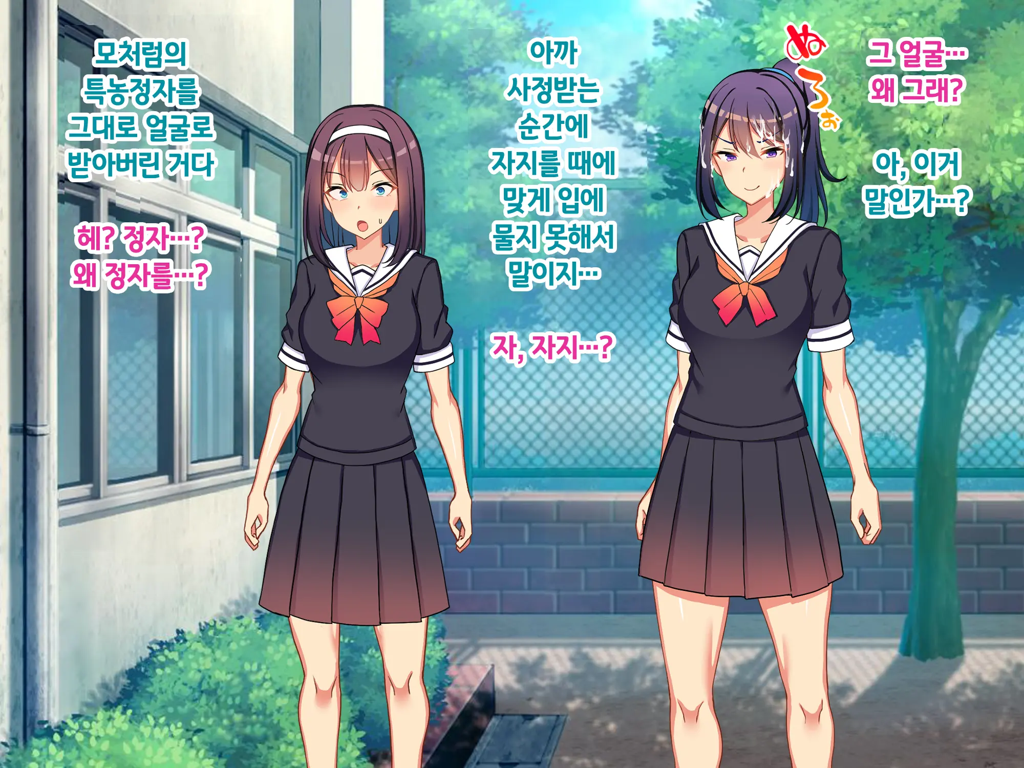 Sou Seisen Hime Holy Knights, Sennou Kaizou Songen Hakai, Seigi No Henshin Hiroin Ga Ganimata Pose De Machi O Osou Hentai Buzama Kaijin Ni Naru Made
